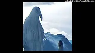 opium bird + erosion type beat +pluh+