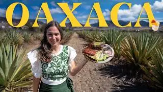 Is This the BEST City in Mexico? Perfect Trip to Oaxaca! (Travel Guide)