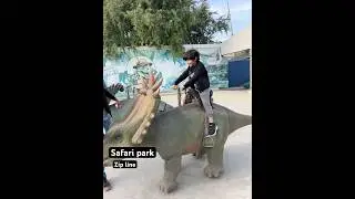 Safari park Karachi #trending #insta #fyp #zoo #animals #instagood #kids #fyp #blogger #explore