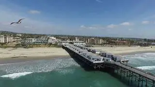 TDS Video Capture for Local Media - Empty Beaches During COVID-19
