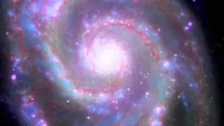 Outer Flow - Harmonisaurus