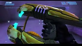 Halo CE FFA | Chill Out | Autoslayer | 11/11/2025  [CLOSE MATCH]