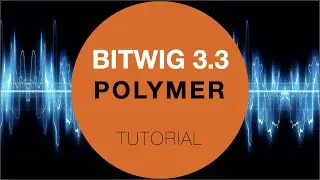 Polymer Bitwig 3.3 Tutorial