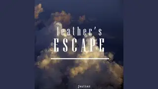 Discovery