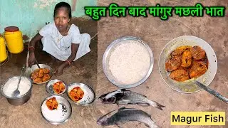 बहुत दिन बाद मांगुर मछली भात||Dasi Magur Machli #nagpuri #fishrecipe #newvlog #nagpurivlog 