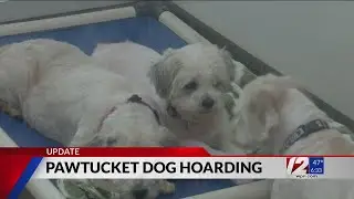 Pawtucket couple facing animal cruelty charges after 46 dogs found in home