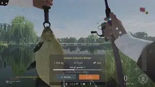Fishing Planet- Weeping willow- unique common bream
