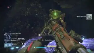 Destiny Me n a Rando Putting on a Light Show