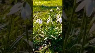 Best Songs About Nature