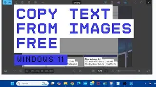 How to copy Text from image in windows 11