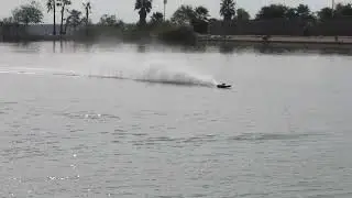 HDV Radtek 29 Club Racer cat