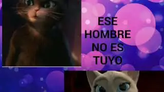 Ese hombre no es tuyo--kitty vs dulcinea
