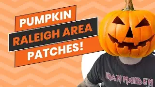 Top 5 Pumpkin Patches in the Raleigh Triangle Area - Fall Family Activities - Kids and Parents