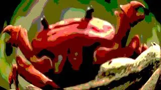 crab rave earrape