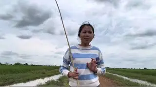 មកស្ទូចត្រីបាន២​ ៣🌱