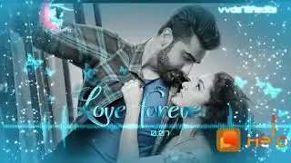 Lovers day 2019 WhatsApp status | February 14 valentines day WhatsApp status-Subscribe(30)
