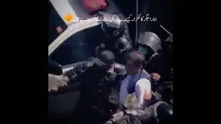 PTI lovers & supporters 💞🇵🇰May Allah protects Imran Khan 🤲 Update #viral #whatsappstatus
