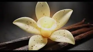 Vanilya Nasıl Keşfedildi? Dünyanın En Değerli Aromasının Hikayesi