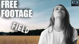 Wheat Field 4K / free footages / free stock / Creative Commons CC-BY