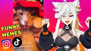 DEME REACT TO MEMES AND CRASH OUT PLAYING GAMES 🤣