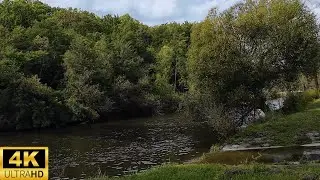 Green River Walk in Switzerland | 4K Relaxing Nature Video