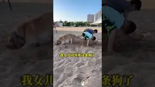 人一旦讀過《段位》，你的人生就像開了上帝視角！ #謀略思維 #格局 #謀略 #智慧人生#tiktok #shorts