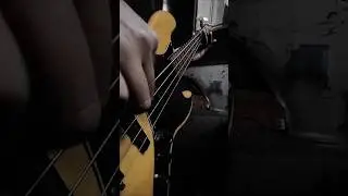BAGAIKAN SAMURAI (BASS COVER) #basscover #bassguitar #bass #xpdc #bassplayer #malaysia #shortcover