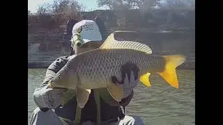 Sat 12-20-2025 Two Large Carp Caught