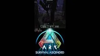 ASA SOLO PVP - #gaming #fun #live #survival #arksurvivalascended  #arksurvivalevolved