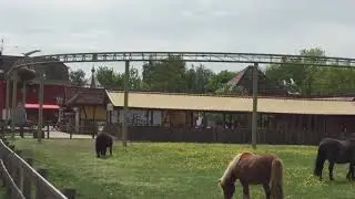 CIGOLAND ALSACE 🐴🤩🐿️🐇🦅🦆🕊️🐏🐓🦃