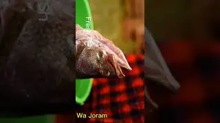 #shorts #fish #fishlover #boiledfish #fishvideo #fishvideos #fishstew #fishrecipe #fishtime #wajoram