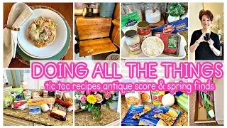 DOING ALL THE THINGS!  TIC TOK RECIPES BIRTHDAY HAUL SPRING FINDS