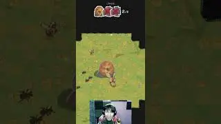 เล็กแต่โหด! Ant Colony Wild Forest Ep11