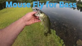 Mouse Fly for Bass