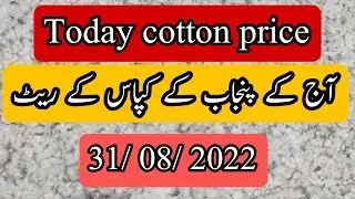 Today cotton price in Punjab || Punjab Cotton Rate || today cotton price || #cotton  #cottonprice