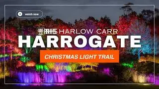 RHS Harlow Carr - Harrogate - GLOW Christmas Light Trail - 4k Walkthrough