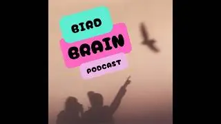 Robin Robin