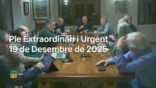 Ple Extraordinari urgent | 19 de desembre de 2025