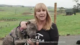 The Pet Refuge Shelter Tour
