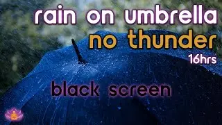 [Black Screen] Rain on Umbrella No Thunder | Rain Ambience | Rain Sounds for Sleeping