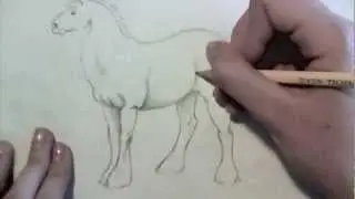Draft Horse Speed-Drawing (ADVANCED)