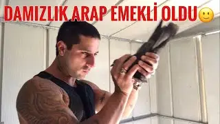 DAMIZLIK ARAP SON UÇUŞUNU YAPTI YAVRUSUDA OYNUYOR 🙂