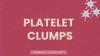 Platelet Clumps Explained | Blood Film Tips for Biomedical Scientists