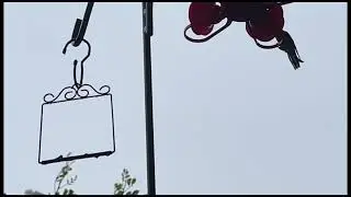 Hummingbirds Swinging in the Rain