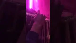 Tabla Cover of 