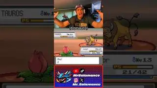 TAUROS RAGEBAIT 😤  #pokemon #pokemonsoulsilver #randomlocke