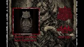 Rancid Cadaver - Flesh Monstrosity (full EP)