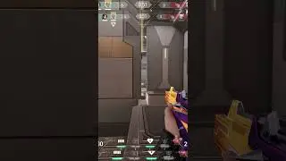 #valorant #valo #shorts #valorantfunny #valogirl #valorantgirl #valorantgaming #valogirls  #gaming