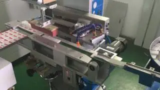 Automatic eraser pad printer | High speed eraser pad printing machine | Pad printer for eraser