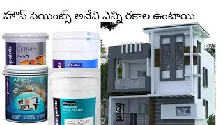 Yenni rakala paints anevi house ki use cheyyadaniki untai